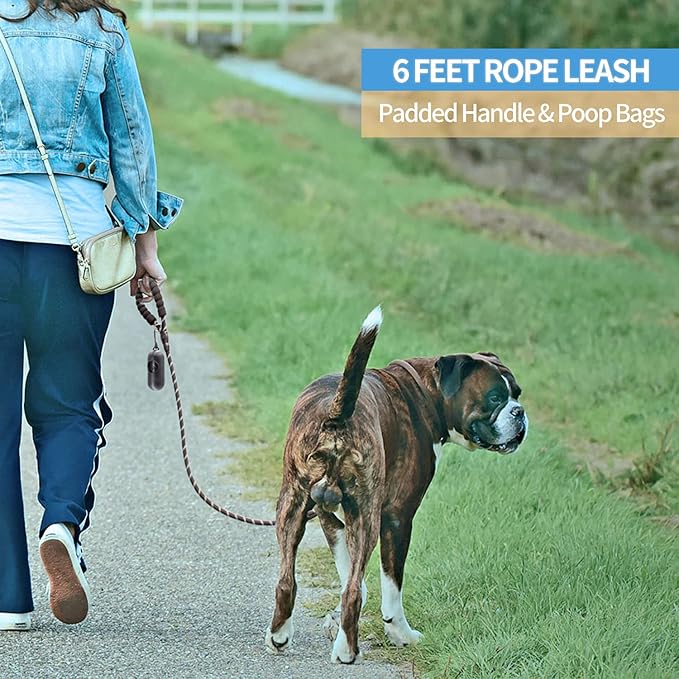 BAAPET 2/4/5/6 FT Dog Leash with Comfortable Padded Handle and Highly Reflective Threads for Small Medium and Large Dogs (6FT-1/2'', Black)