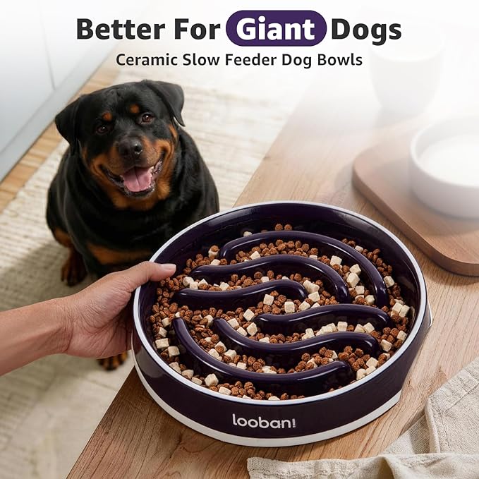 LOOBANI Ceramic Slow Feeder Dog Bowl 11.7" Width - for Large & Great Breeds, Slow Eating, Perfect for Great Danes, Saint Bernards & Mastiffs, Large Dogs (XL, Purple)