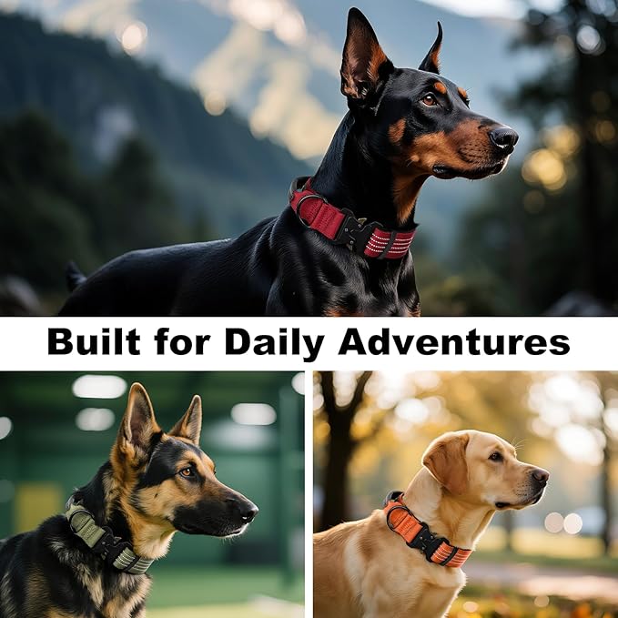 Plutus Pet Tactical Dog Collar with Tracker Pocket for AirTag, Adjustable Reflective Nylon Collar, Metal Buckle, Leather-Wrapped Handle, Soft Padded for Medium Large Dogs (Burgundy Red, L)