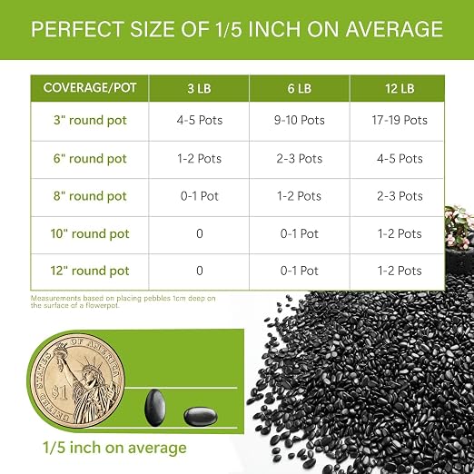 NUPICK 12lb River Rocks for Plants Indoor, Black Pebbles for Vases Fillers | 1/5 Inch Decorative Pea Gravel for Fish Tank, Natural Polished Stones for Succulent, Bonsai, Landscaping, Bird Baths