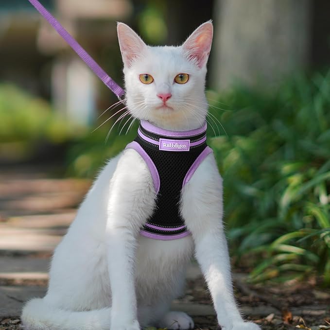 rabbitgoo Cat Harness and Leash Set for Walking Escape Proof, Adjustable Soft Kittens Vest with Reflective Strip for Cats, Comfortable Outdoor Vest, Black & Light Purple, L