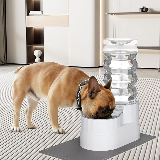 RIZZARI 9L Water Dispenser for Dogs: Ion Exchange System with Activated Carbon - Helps Prevent Urinary Stones - Supports Spinal Health in Senior Dogs - Automatic Stainless Steel Pet Feeder for Garage