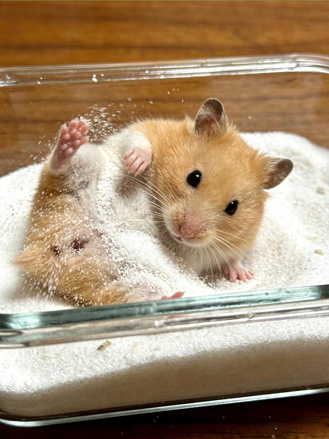 ERKOON 1kg White Bath Sand for Chinchillas & All Hamster Breeds - Premium Pet Grooming Sand
