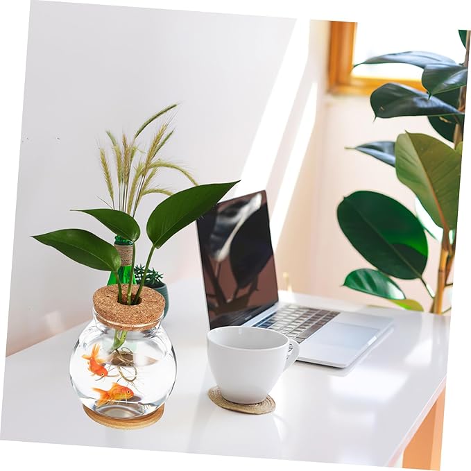Glass Hydroponic Plant Vase with Cork Lid and Bamboo Base Small Clear Fish Bowl Desktop Terrarium Kit for Water Plants Lucky Bamboo Betta Fish Starter Pot for Home Office Decor 5x5.5 Inch