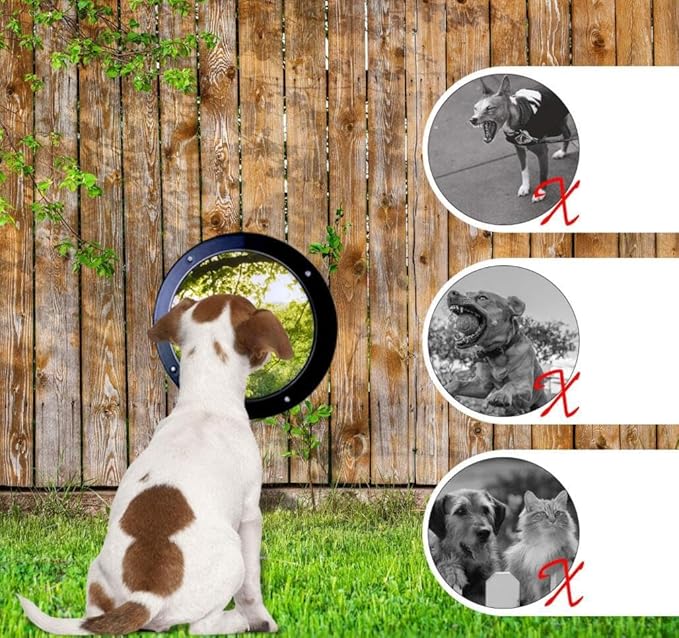 Clear Acrylic Dome, Dog Fence Window with Air Holes,Playground Clear Pet Dome View,Dog Bubble Peek Window, Inside Length 11.8 Inch and Deep 4.5inch(1 Pack)