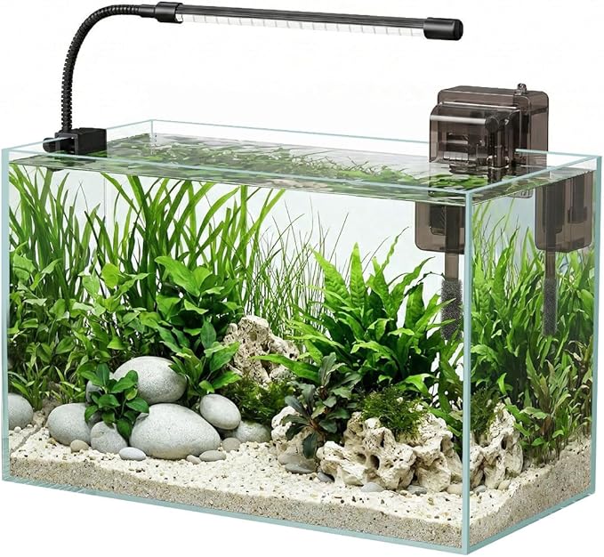 Glass Fish Tank Kit, 5 Gallon Betta Fish Tank Aquarium Starter Kit with Filter, Lights, Lid, for Betta, Goldfish, Small Fish or shrimg,Clear