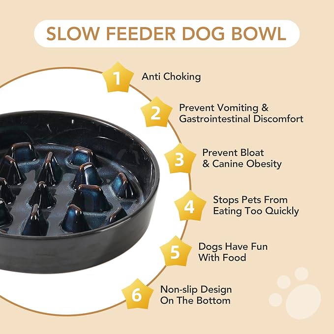 Havniva Slow Feeder Dog Bowls, 3.2 Cups Ceramic Dog Food Bowls 9.5 inch Slow Feeder for Large Dogs Puzzle Bowls for Fast Eater, Pet Slow Feeding Dish Anti-Choking
