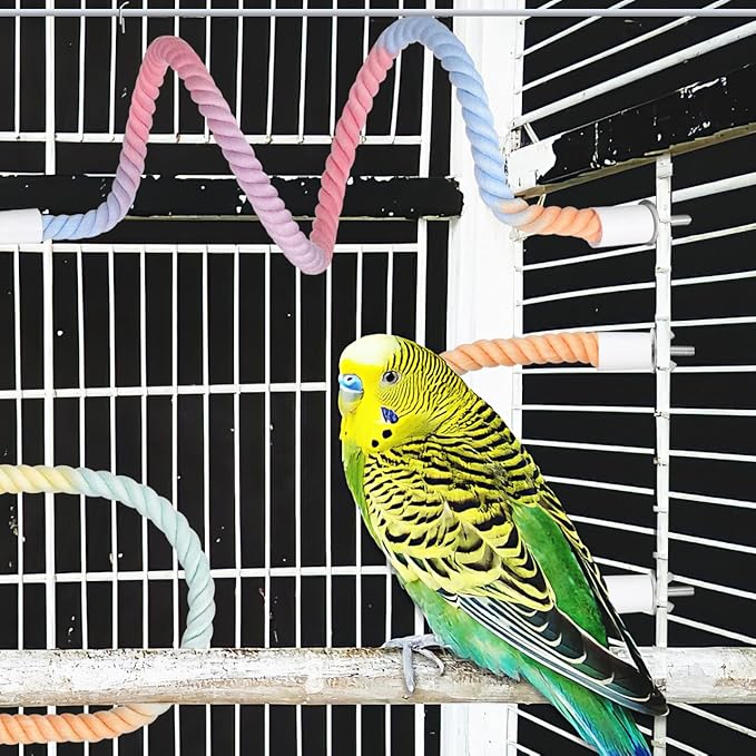3 Pack Bird Rope Perch for Parakeets Cockatiels, Colorful Cotton Parrot Bungee Swing Toy, 31" & 13" Multi-Shape Bendable Cage Climbing Stand Accessories for Small Medium Birds, Gradient