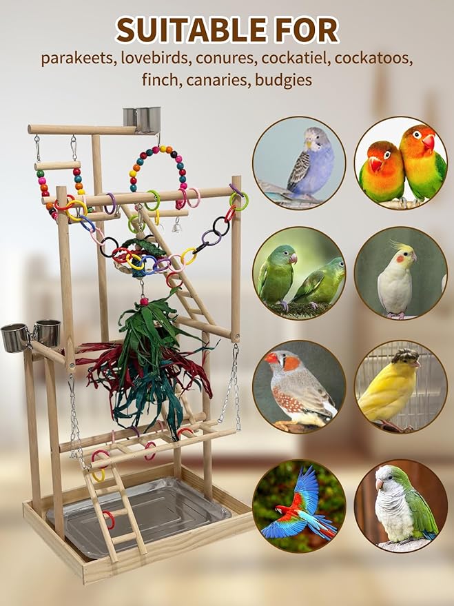 4-Tier Large Wooden Bird Playground with Trays Cups Ladder - Parrot Playstand, Birds Play Stand, Wood Perch Gym for Parrots Cockatiels - Durable Multi-Level Bird Activity Center