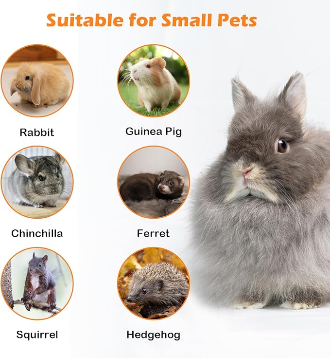 Hanging Water Bottle for Rabbits,23oz No Drip Small Animal Water Bottle Top Fill Guinea Pig Water Dispenser for Cage Crate Chinchilla Ferret Squirrel Hedgehog(Green)