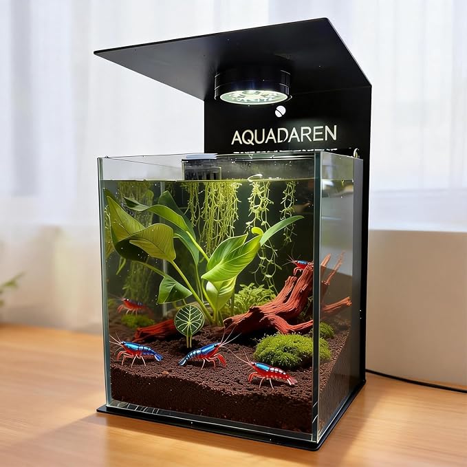 Fish Tank 2.7 Gallon (11L), Glass Nano Aquarium Kit with Water Filter Pump, Iron Tray, & LED Light, Ideal for Small Fish, Shrimp and Plants, Black