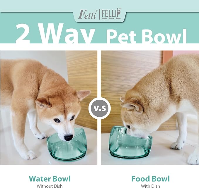 Felli Pet Oblik Acrylic Raised Dog Food Water Bowl Stainless Steel Slanted Oval Dish for Short Leg Puppy & Small Medium Pet, Elevated Tilted Metal Feeder (Classic, 1.5 Cups Oval Dish)