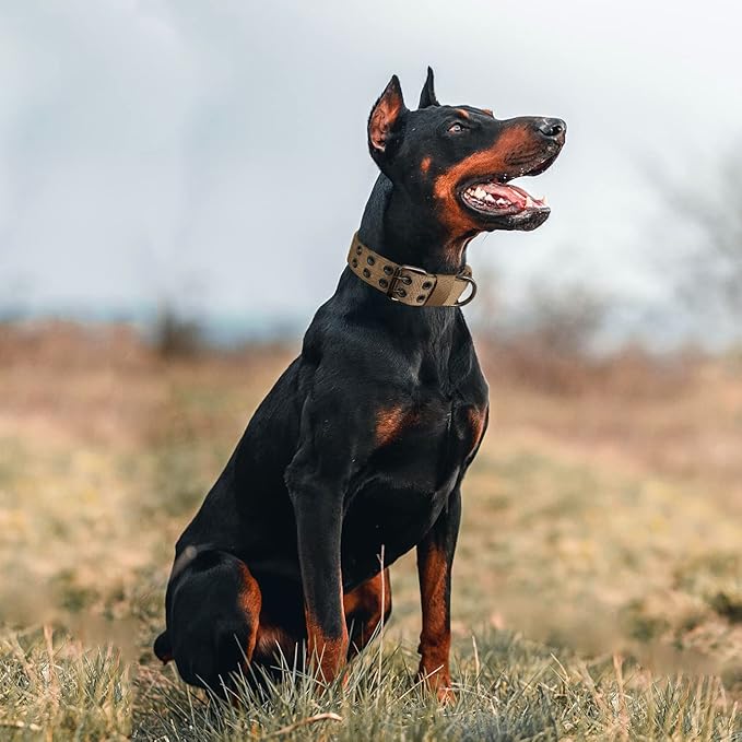 Tactical Dog Collar with Handle, Military Adjustable Heavy Duty Metal Buckle Dog Collars Soft Nylon Training Collar for Medium Large Dogs (Brown, Large)