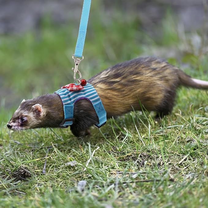 Hypeety Small Animal Harness Vest and Leash Set Soft Mesh Small Pet Harness Hamster Rabbit Chest Back Outdoor Leash Traction Rope for Rabbit Ferret Guinea Pig Kitten Clothes Accessory (M, Blue Stripe)