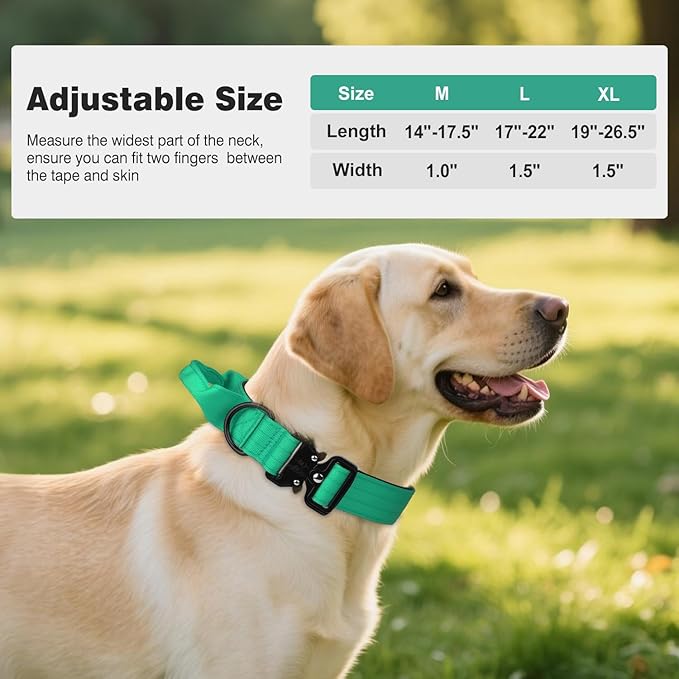 Joytale Tactical Dog Collar for Large Dogs with Control Handle, Heavy Duty Military Training Collar for Power Breeds, AirTag Holder Case, Quick Release Metal Buckle, Soft Padded, L, Teal