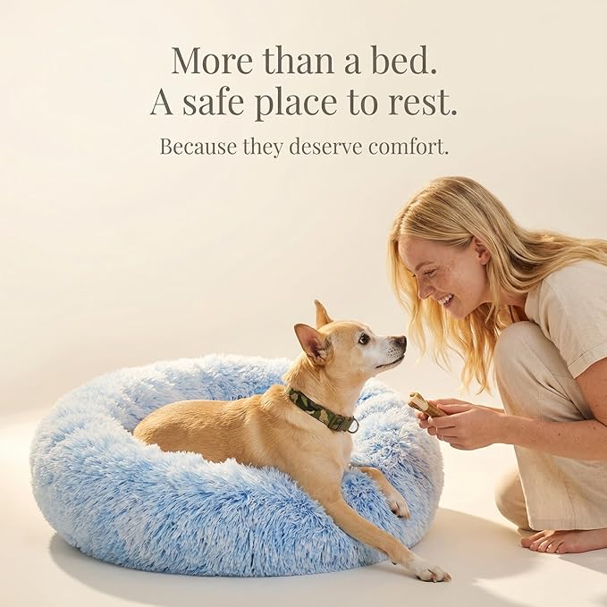 Calming Donut Dogs Beds for Small Dogs Washable,19inch Fluffy Round Puppy Bed for Puppies,Cats & Toy Breeds with Raised Rim,Fits up to 15 lbs Pets,Gradient Blue