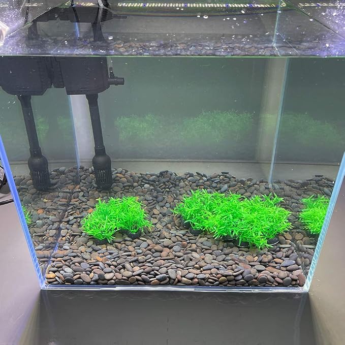 Aquarium Plant Fish Tank Decoration 20 Pieces Small/1" Tall Plastic Artificial Plant Goldfish Hidden Mini Grass Set (Green-A)