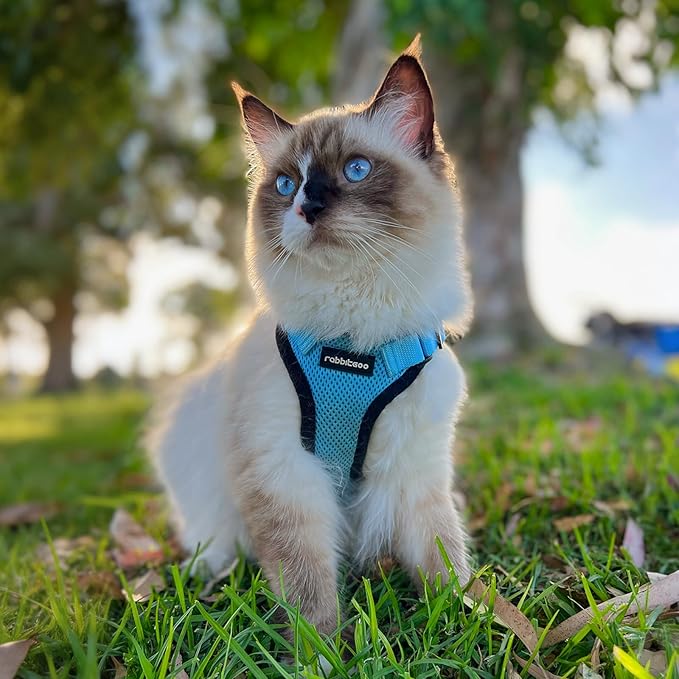 rabbitgoo Cat Harness and Leash for Walking, Escape Proof Soft Adjustable Vest Harnesses for Cats, Easy Control Breathable Reflective Strips Jacket, Light Blue, S