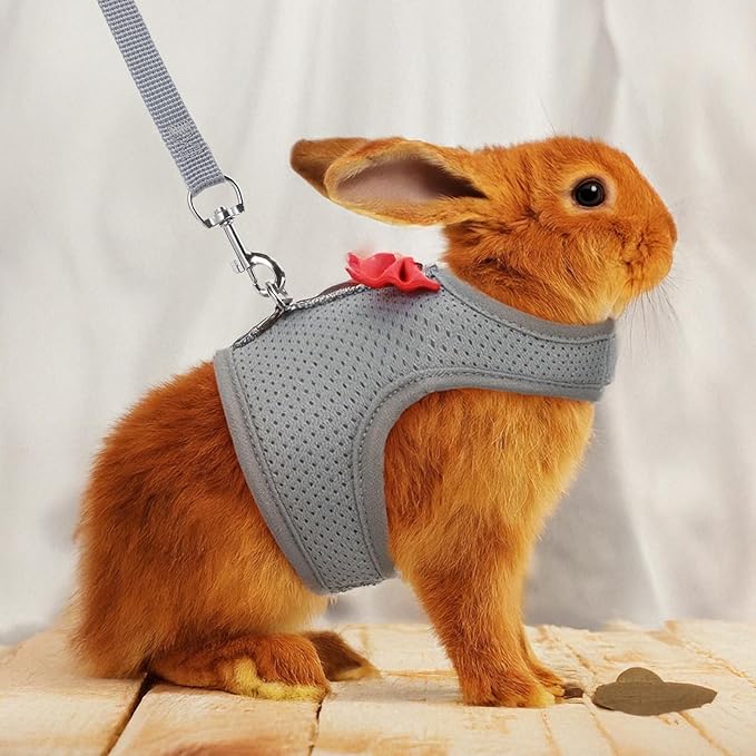 Rabbit Harness and Leash Set,Bunny Leash for Walking Escape Proof,Bunny Clothes with Cute Bow Mesh Breathable Adjustable Vest Rabbit Harness Camping Hiking Training for Ferret Kitten Puppy (Grey M)