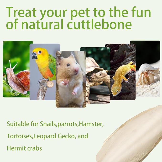 4.3"-4.7" Cuttlebone for Birds,Parakeets Cuddle Bone Beak Trimming,Premium Calcium Natural Cuttlefish Bone for Parrot,Cockatiel,Budgie,Tortoise, Snails,Reptiles,20 Pcs