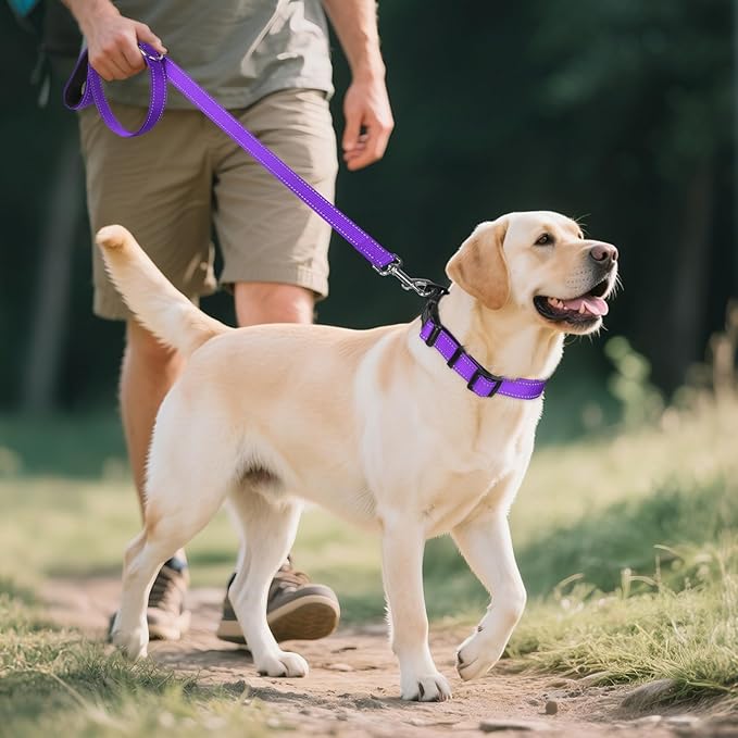Joytale Reflective Dog Collar,Soft Neoprene Padded Breathable Nylon Pet Collar Adjustable for Large Dogs,Purple,L