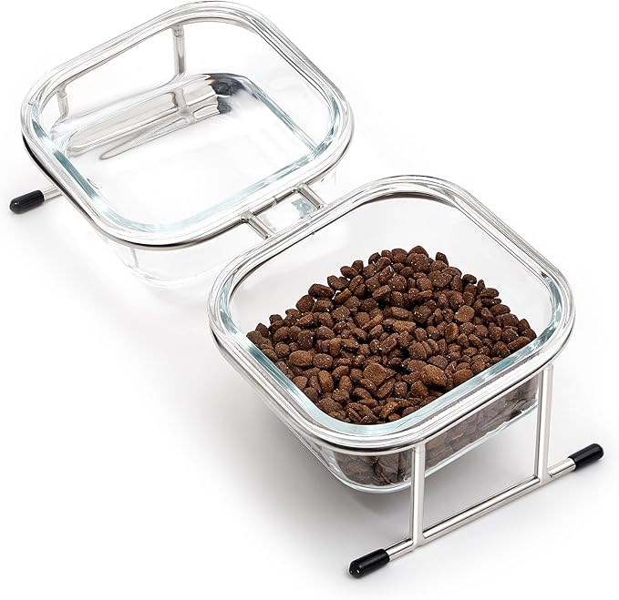 Hannadepot Elevated Cat Bowls, 15° Tilted Glass Raised Cat Food Bowl with Stainless Steel Stand, 2 Large Capacity Glass Cat Bowls and 4 Anti Slip Feet, Suitable for Cats and Little Dogs