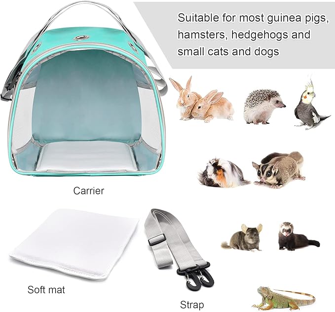 Small Animal Carrier Bag, Upgraded Portable Guinea Pig Carriers, Transparent Hamster Carrying Case, Reptile Rat Rabbit Bearded Dragon Hedgehog Carrier Bag for Travel, Hiking, Walking, Outdoor (Green)