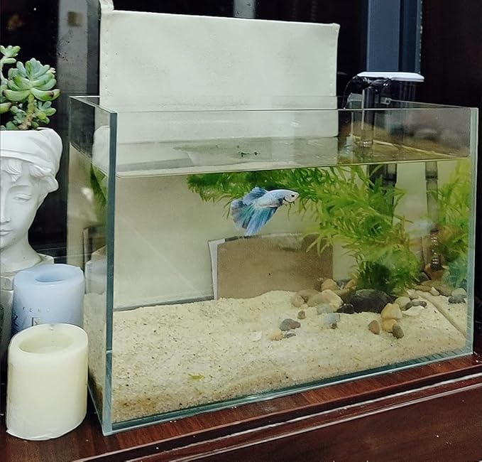 AWXZOM Small Nano Tall Rimless Tank, Glass Fish Tank, Betta Fish Tank, Aquarium (2.85 Gal, 11.8x6.7x7.8 inch)