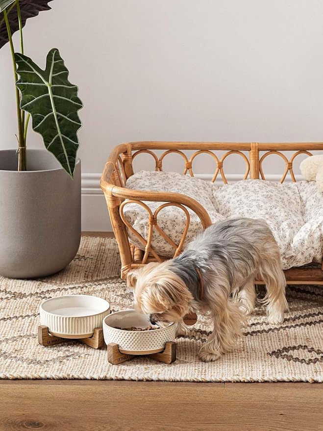 LE TAUCI PET Ceramic Dog and Cat Bowl Set with Acacia Wood Stand - 2 Cup Weighted Non-Slip Food and Water Bowls for Small Dogs & Cats, Lines + Dot
