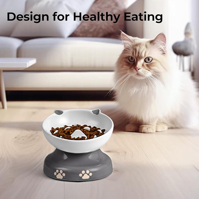 Y YHY Slow Feeder Cat Bowl, Ceramic Elevated Cat Bowl Tilted Design Slow Feeder for Dog and Cat for Dry and Wet Food, Gray