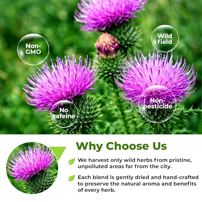 4 oz. Milk Thistle Herb Dried Milk Thistle Herbal Tea (Silybum Marianum) - 113g Herb Tea Cardo Mariano