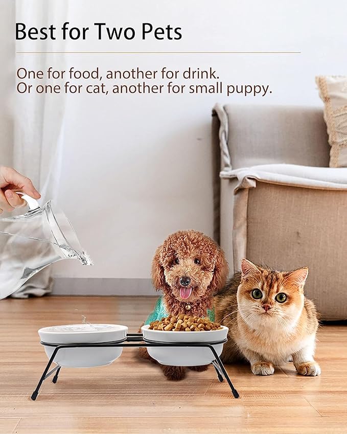 COMESOON 5" Ceramic Cat Bowl with Fish Bone Pattern, Cat Food Bowl for Food and Water, Healthy Cat Dishes for Indoor Cats and Small Dog, Dishwasher Safe & Microwaveable - White