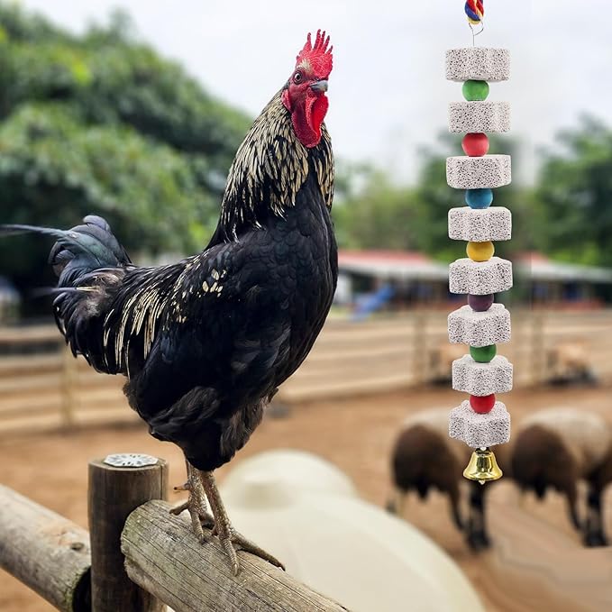 2 Pack Mineral Block Chew Toys for Chicken, Chicken Toys with Colorful Beads and a Bell, Chicken Coop Accessories, Beak Grinding Stone for Chicken, Hens, Geese, Ducks, Turkeys, Poultry