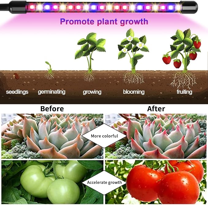 Grow Lights for Indoor Plants, 2 Heads Clip On Plant Light, 40 LEDs | RedBlue Plant Light, Timer 6/12/16Hrs, 3 Spectrums, 5 Dimmable Levels, Flexible Gooseneck
