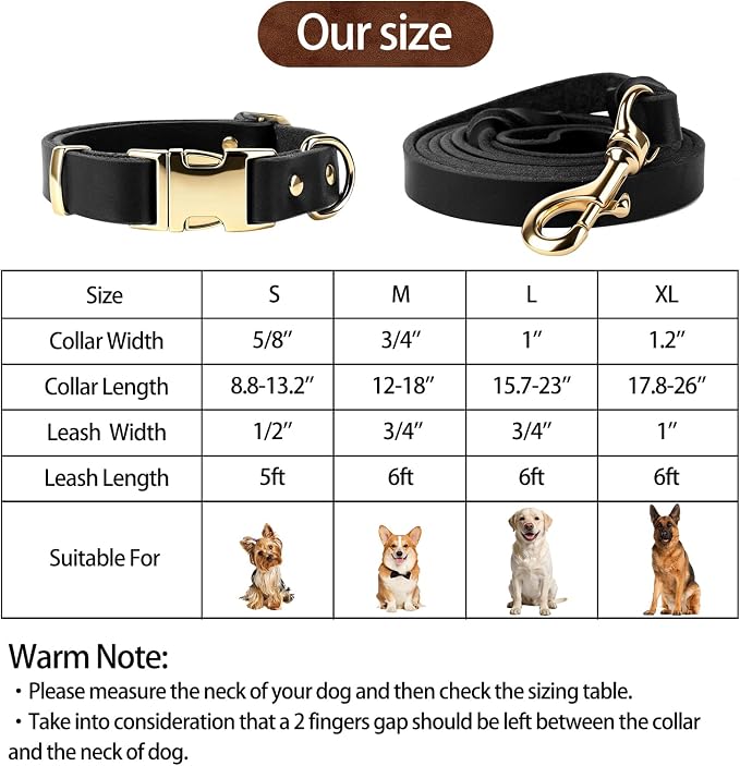 Leather Dog Collar and Leash Set, 6FT Heavy Duty Leather Training Leash with Adjustable Dog Collar, Soft and Durable Dogs Leashes and Collars Set for Small Medium Large Dogs (Black, M)