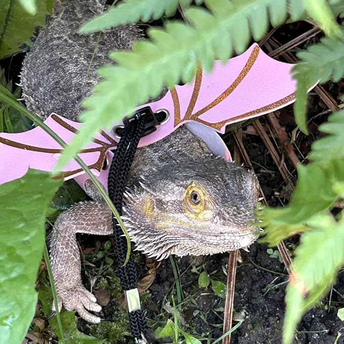 Dinosaur Wing Leash Harness for Bearded Dragons - 3-Size Adjustable Reptile Harness Set, Safe Escape-Proof Design for Lizards, Geckos, Iguanas & Small Pets (Pink)