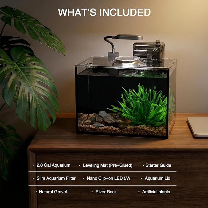 2.5 Gallon Betta Fish Tank, Small Aquarium Kit,Glass Small Fish Tank,Betta Fish Tank with a lid and Light and Filter, Small Transparent Glass Fish Tank with Light and Filter (Black Glass Background)
