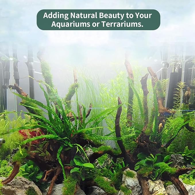 Hamiledyi Natural Large Driftwood for Aquarium 12-18 Inch Driftwood Branches Fish Tank Decoration Reptile Toy Assorted Size Reptile Habitat Decor Wood for Lizad (1 Pack)