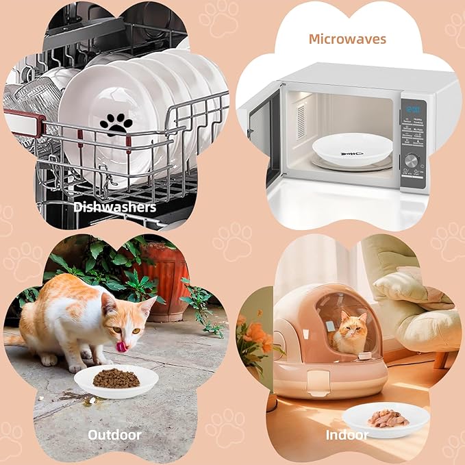6 Pack Cat Food Bowl, Ceramic Cat Bowls, Anti Whisker Fatigue Cats Bowl Set,5.5 Inches Shallow Wide Kitten Plates for Food and Water (White-E)