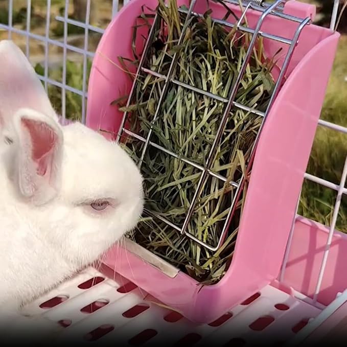 Foraineam 2 Pack Hay Feeder for Rabbits and Guinea Pigs - Plastic Food Bowl, Less Waste Rack Manger, Dispenser for Chinchillas and Other Small Animals