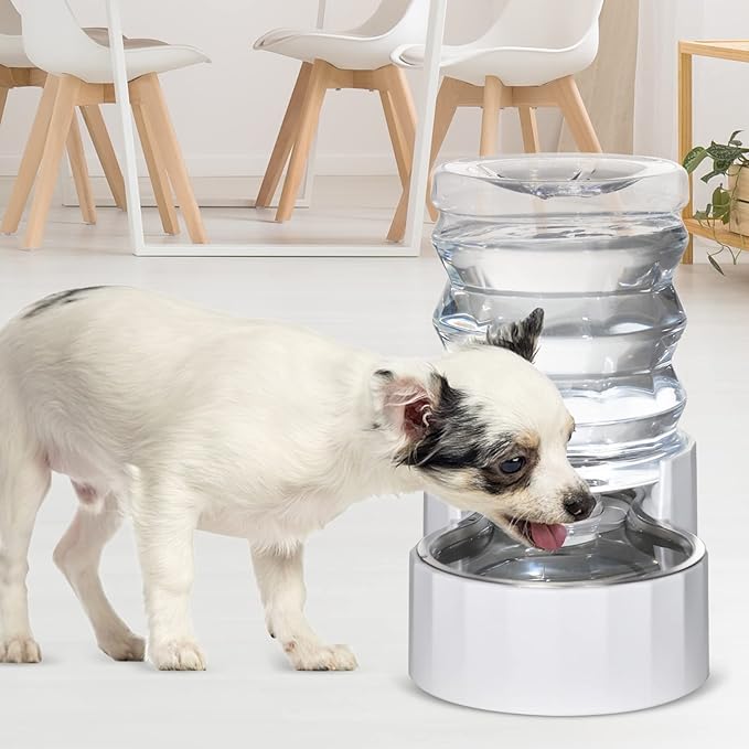 RIZZARI Dog Water Bowl Dispenser: 5L Large Stainless Steel Gravity Feeder - Helps Prevent Urinary Stones -Leak-Proof -Spill-Free Use-Small Dogs & Cats -Perfect for Kitchen & Daily Hydration