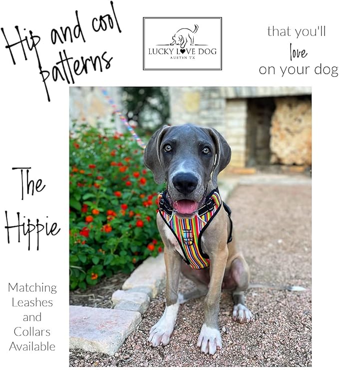 Lucky Love Dog Harness, Easy to Walk, No Pull Dog Harness, Adjustable Custom Fit (Hippie, Small)