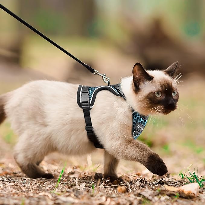 Cat Harness and Leash for Walking Escape Proof Soft Adjustable Cat Leash Breathable Honeycomb Structure Comfortable Vest Easy to Wear Kitten Harness for Outdoor Travel, Honeycomb Blue, L