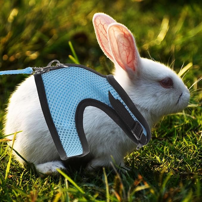 FOMIYES Guinea Pig Harness Leash Set 2 Packs Small Animal Adjustable Pulling Rope Soft Cloth Pet Harness for Guinea Pigs Rabbits Hamsters Indoor Use