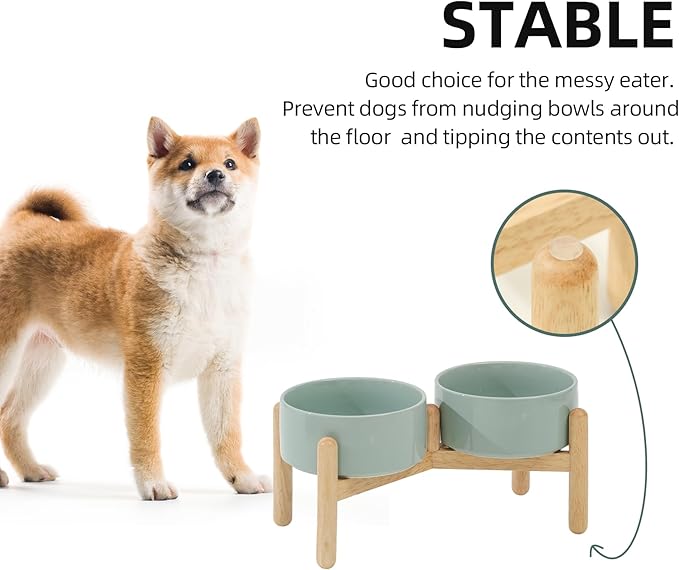 Havniva Ceramic 6.1inch Raised Dog Bowl with Stand for Small and Medium Breed Dog Dish Pet Food and Water Bowl (Double Bowl with Stand - Light Green, 28oz)