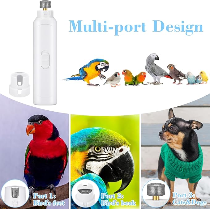 Lasnten 2 Pcs Bird Nail Grinder with Clipper Bird Nail Trimmer File Pet Grooming Tool for Parrot Budgerigars Parakeets Myna Conure Finches Lovebirds(White)