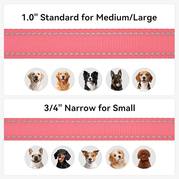 Joytale Dog Leash, 4 FT Double-Sided Reflective, Padded Handle Nylon Heavy Duty Leashes for Small Dogs Walking, Neon Pink