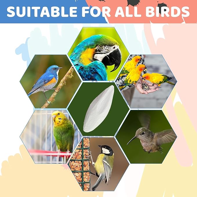 Bird Cuttlebone for Parakeets Cuttlebone for Birds - 101% Natural Cuttlefish Bone Bulk Chew Toy Bird Bites Calcium Stone for Canaries Tortoises,Snails,Reptiles,Parrots,Cockatiel