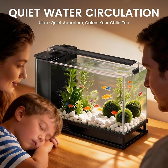 Fish Tank Kit Starter Aquariums 4 Gallon with Bottom Drainage | For small tropical fish, guppies, or betta|with Light and Filter Pump|Multi-stage filtration