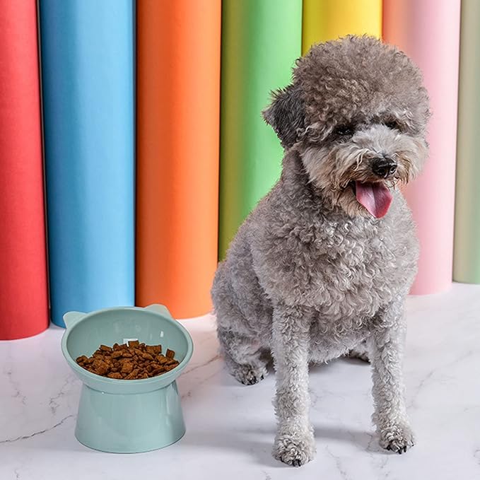 Tilted Elevated Cat Food Bowl - Cats Bowls Whisker Friendly Anti Vomiting Slanted Feeding Bowls Cute Shallow (Tall Cat Bowl-Green)